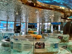 -鞍山大白鲨美食酒店