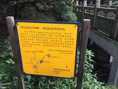 -普陀山风景区-佛顶山
