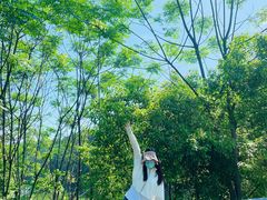 -青龙山国家森林公园