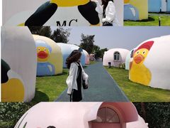 -漳州滨海火山岛自然生态风景区