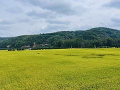 -南泥湾风景区