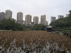 -龙头寺公园