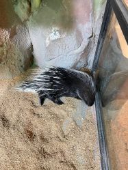 -酷嗒动物文化乐园(cutezoo西溪乐天城店)