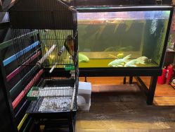 -日月刺青工作室·高端纹身