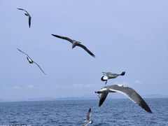 -大连海昌东方水城