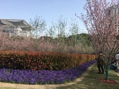 -人民公园-相亲角