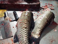 -梅记大块头爆鱼店(乍浦路店)