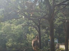-黔灵山公园