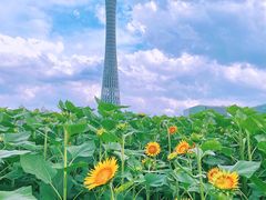 -海心沙亚运公园