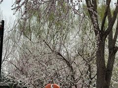 -春风习习