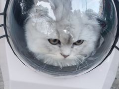 -暖阳宠物医院·犬猫康复中心·骨科