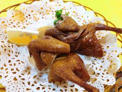 红烧乳鸽-一煲鸽