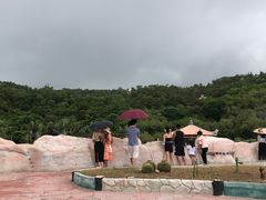 -广东惠东海龟国家级自然保护区