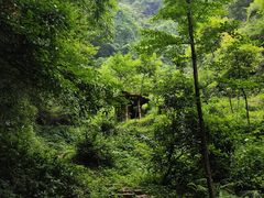 -青城山