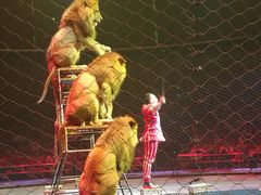 -珠海横琴长隆《卡卡虎奇遇记》