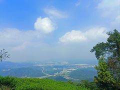 -黄埔油麻山森林公园