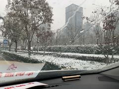 -木塔寺遗址生态公园