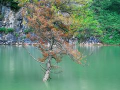 -狮子沟牧场