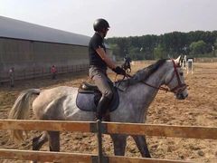 -月河湾马术俱乐部(朝阳店)