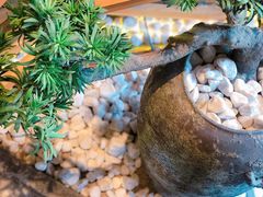 -霸王茶姬(五一路店)