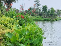 -枫香湖儿童公园