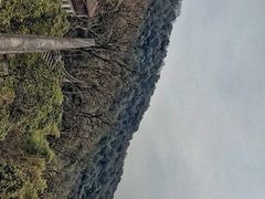-韬光茶庵