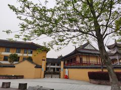 -鸣鹤古镇