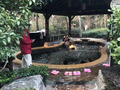 -天目湖涵田半山温泉