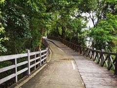 -广州市流溪河国家森林公园