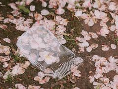 -高东镇樱花园