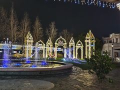 -Efes Turkish & Mediterranean Cuisine 艾菲斯餐厅(陆家嘴店)