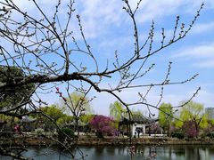 -无锡蠡湖国家湿地公园-蠡园