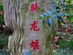 -上海佘山国家森林公园天马山园