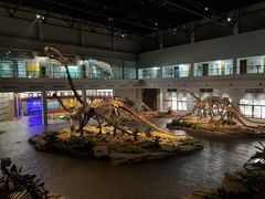 -自贡恐龙博物馆