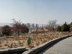 -永定河休闲森林公园