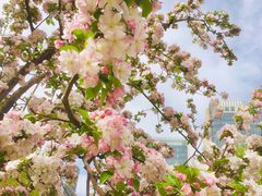 -元大都城垣遗址公园