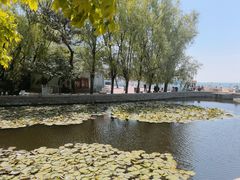 -青岛第二海水浴场