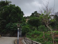 -炮台山公园