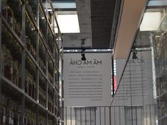 -MAMACHA妈妈茶(海信店)