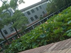-四川大学(望江校区)