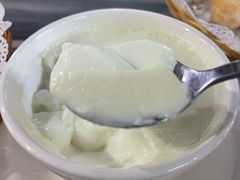 牛奶炖蛋-黄师奶甜品店