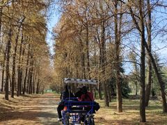 -上海海湾国家森林公园