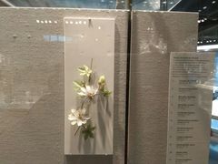 -康宁玻璃博物馆