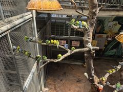 -正佳雨林生态植物园