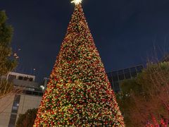 -杭州城中香格里拉大酒店