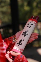 -黑马婚纱摄影
