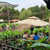 重庆好吃又好怕的火锅推荐[亲亲]