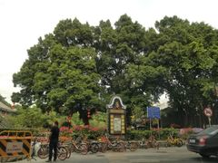 -潮喜竹溪荔湖酒家(荔枝湾店)