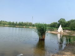 -永定河休闲森林公园