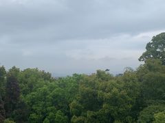 -南山植物园